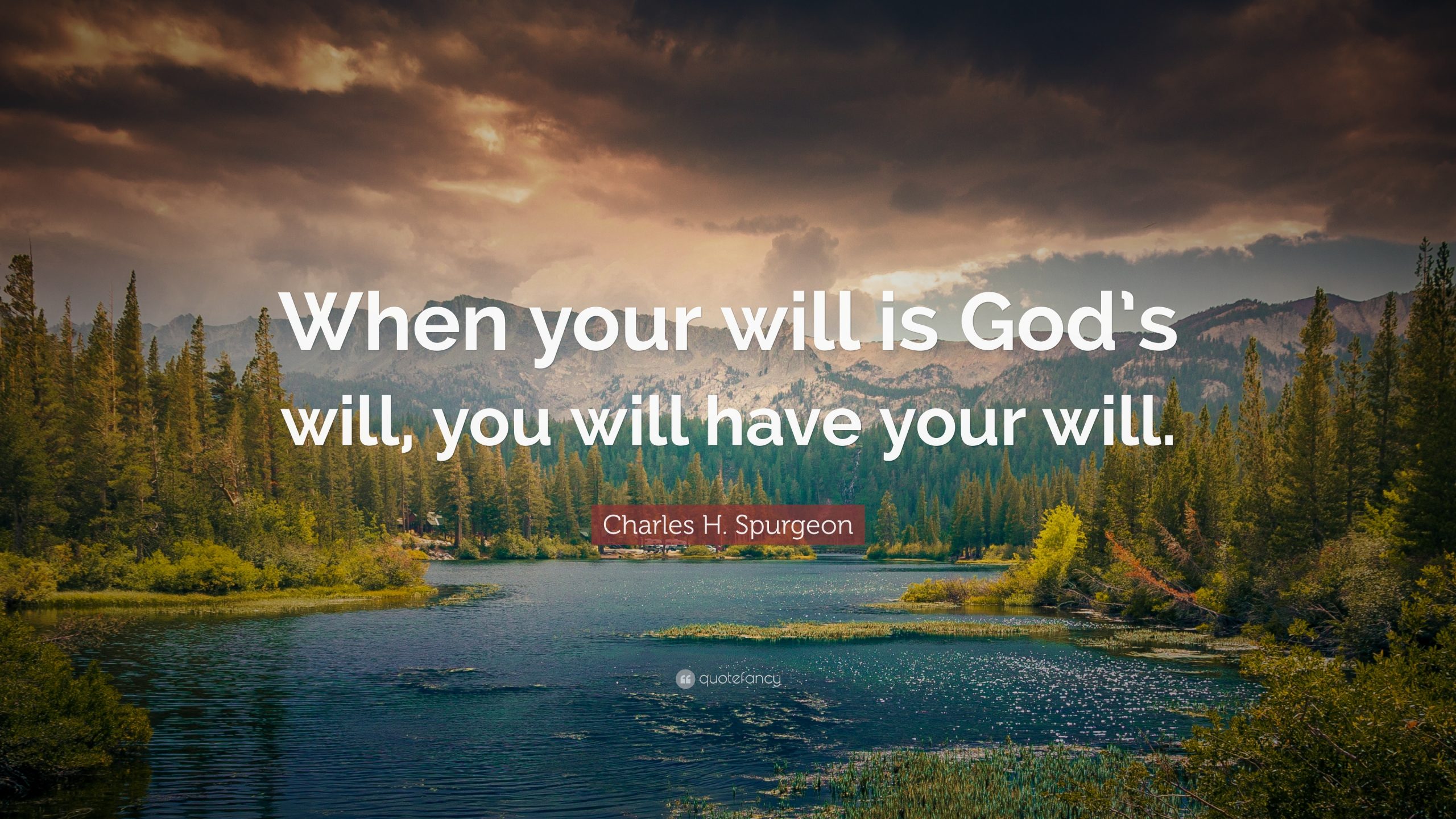 What Is The Will Of God In Our Lives